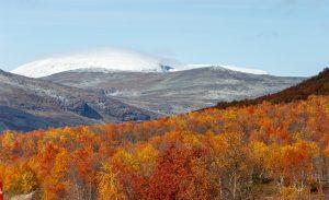 Fun for the Whole Family: Exploring Lapland's Exciting Activities